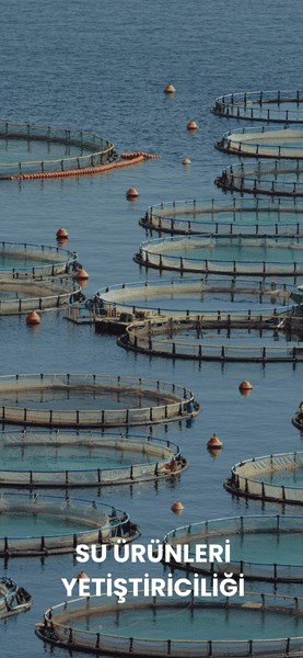 Su ürünleri yetiştiriciliği